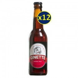 GINETTE FRUIT BIO 12*33CL