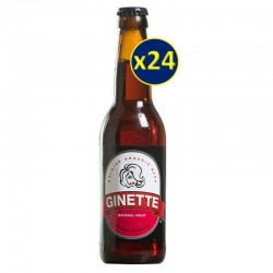 GINETTE FRUIT  BIO 24*33CL