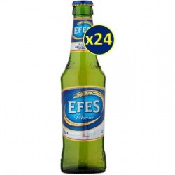 SAISON VOISIN 24*33CL