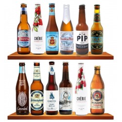 BOX DECOUVERTE 12 BIERE DE...