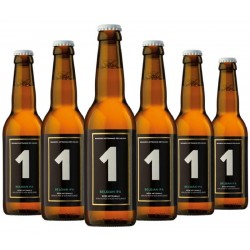 THE ONE BELGIAN IPA 6*33CL
