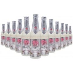 DELIRIUM ARGENTUM 12*33CL