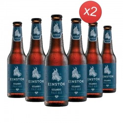 EINSTOK PALE ALE 12*33CL