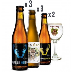 BOX LUPULUS - 2*3*33CL +...