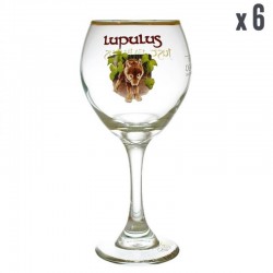 PACK VERRES LUPULUS - 6*25CL