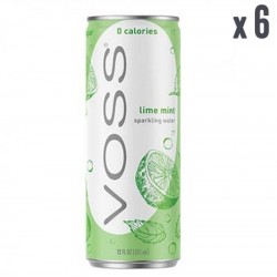 VOSS CITRON VERT MENTHE 6*33CL