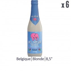 DELIRIUM TREMENS 6*33CL
