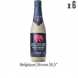 DELIRIUM NOCTURNUM 6*33CL