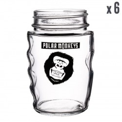 PACK VERRES POLAR MONKEY *6