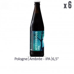 MARYENSZTADT MYSTERIOUS IPA...