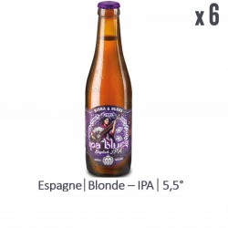 BIRRA & BLUES IPA 6*33CL