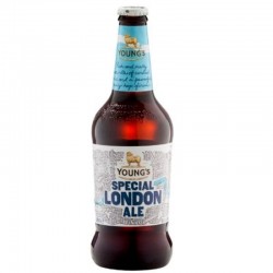 WELLS SPECIAL LONDON ALE 50CL