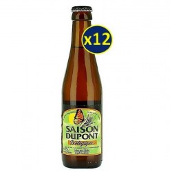 SAISON DUPONT BIO 12*33CL