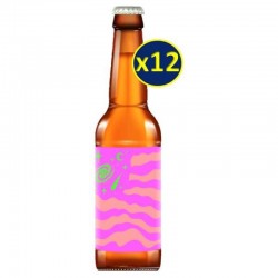 OMNIPOLLO ARZACHEL 12*33CL