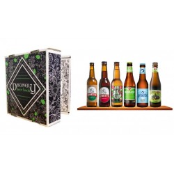 DISCOVERY BEER BOOK BIO 6*33CL